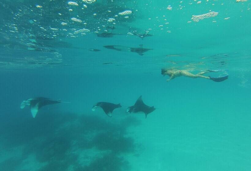 هتل Holiday Haven Ukulhas