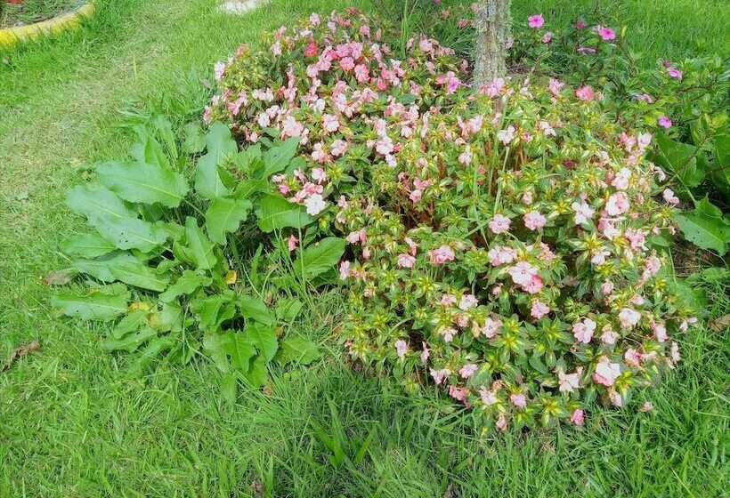 酒店 Lago Valdivia