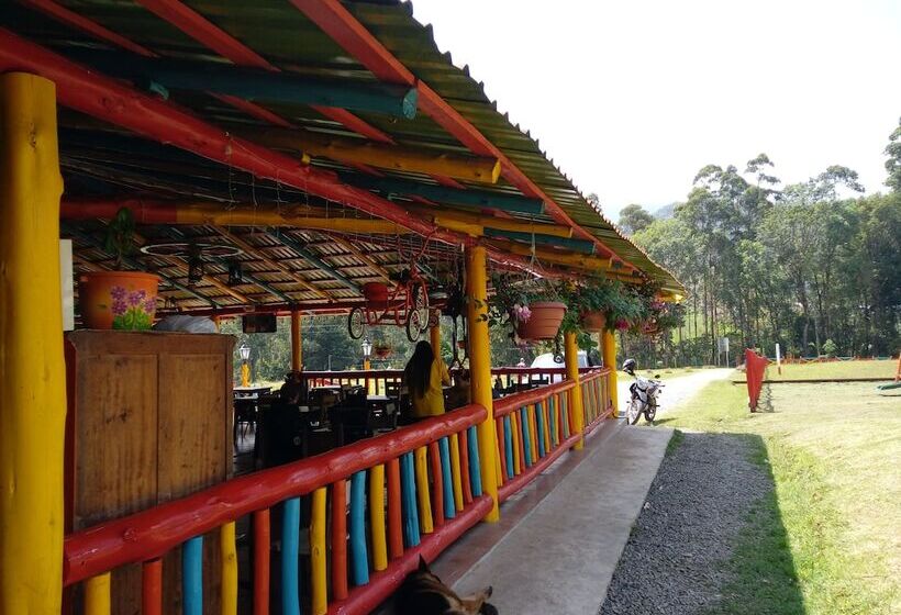 酒店 Lago Valdivia