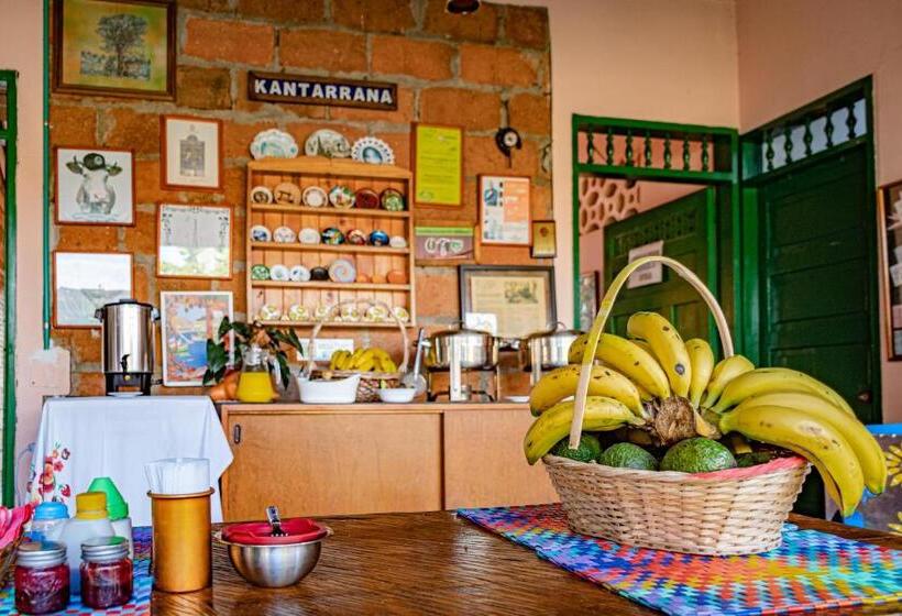 בית מלון כפרי Kantarrana Urbana Jardin