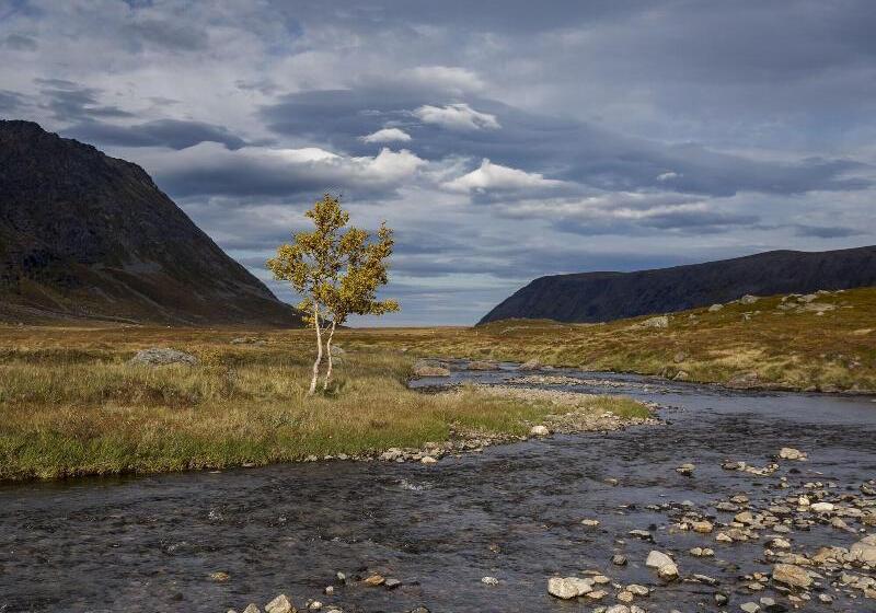 호텔 L Maritim Skjervoy