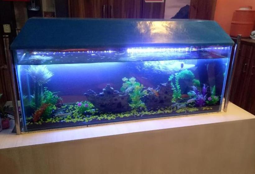 فندق Paras Residency