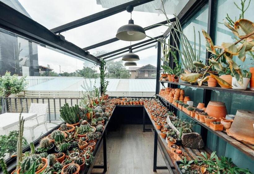 فندق P.u. Inn Resort