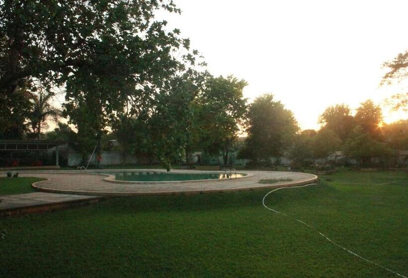فندق Puuc
