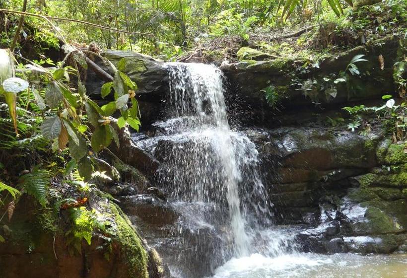 ホテル Qasikay Selva Lodge