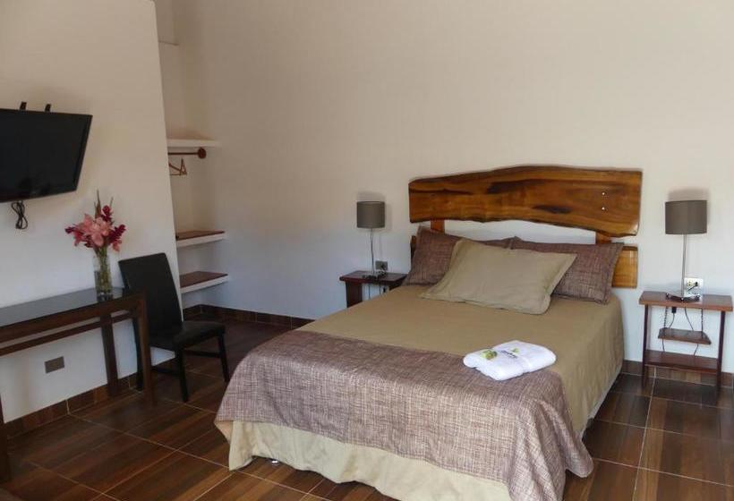 ホテル Qasikay Selva Lodge