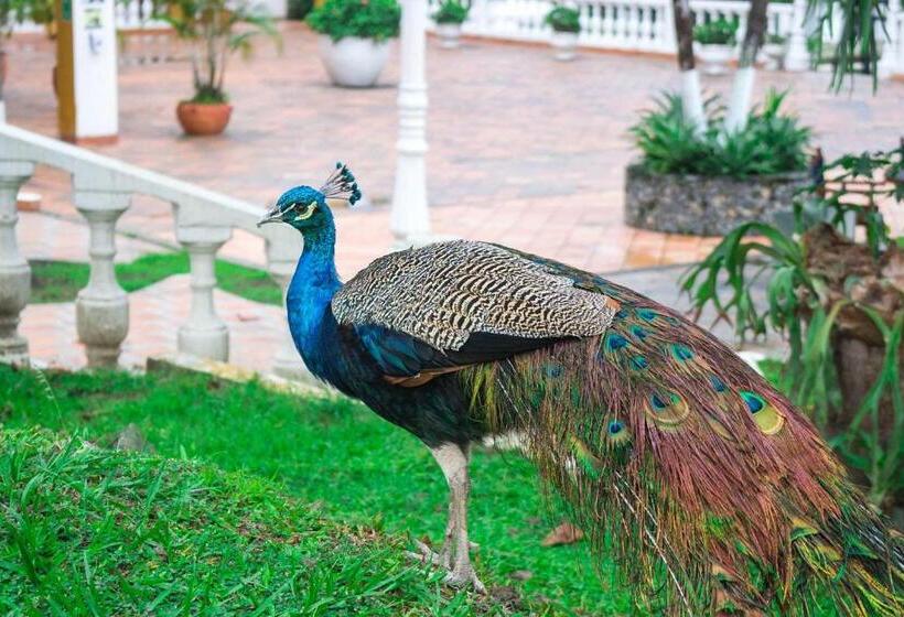 호텔 Posada San Sebastian