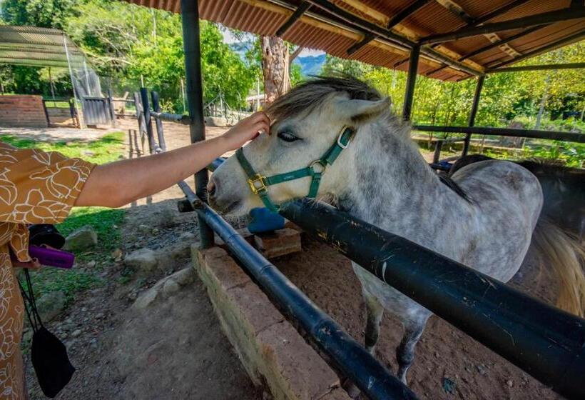 호텔 Posada San Sebastian