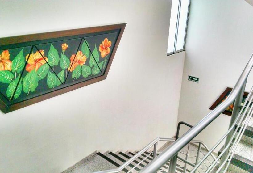 בית מלון כפרי Tropical