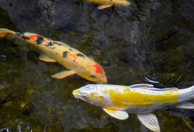 Kappo Ryokan Suimeisou