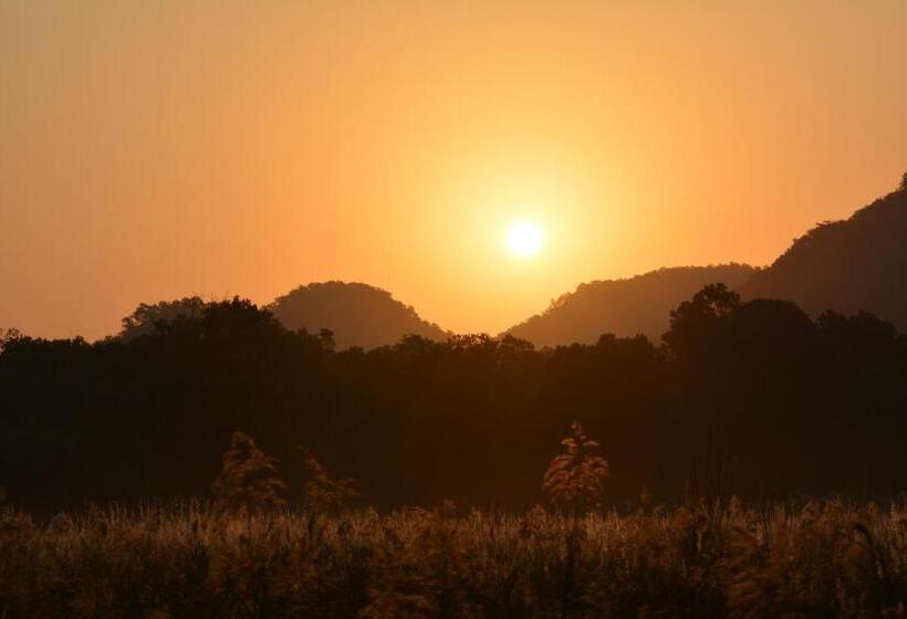 Spree Maati Jungle Resort