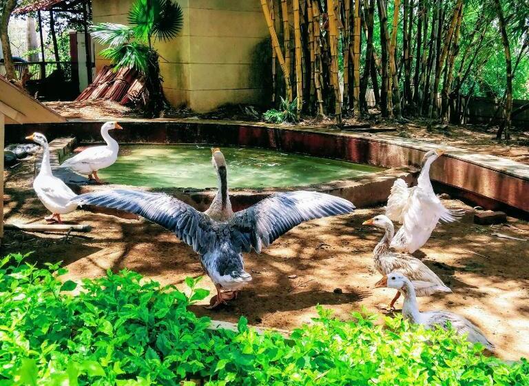 منتجع Dew Drops Boutique Retreat