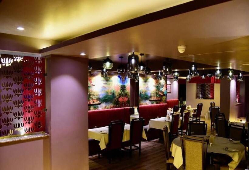 渡假胜地  Kadamb Spritual Stay