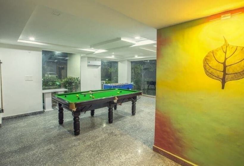 渡假胜地  Kadamb Spritual Stay