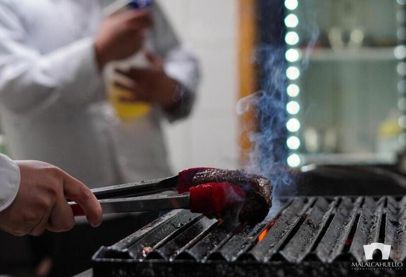 리조트 Malalcahuello Thermal Hotel & Spa