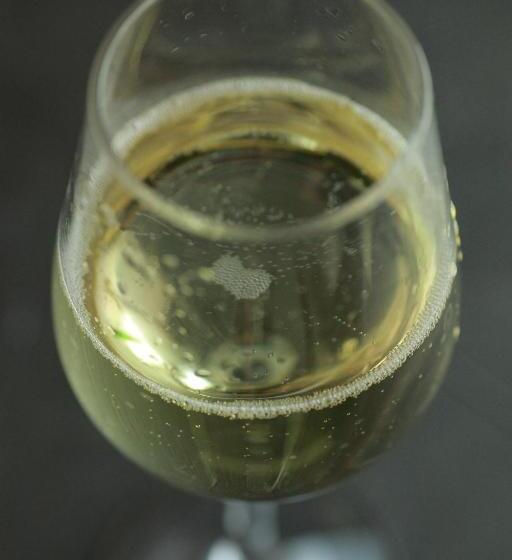 ריוקאן Nagisatei Taroan