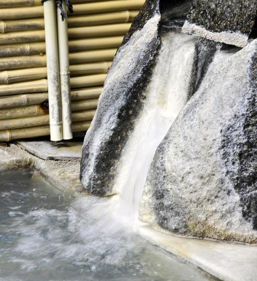 ריוקאן Toshimaya Tsukihama No Yu