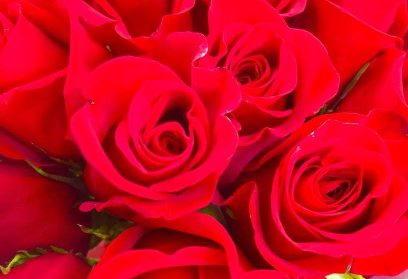 A Cayuga Lakefront Inn   Hotel Alt, Ithaca New York