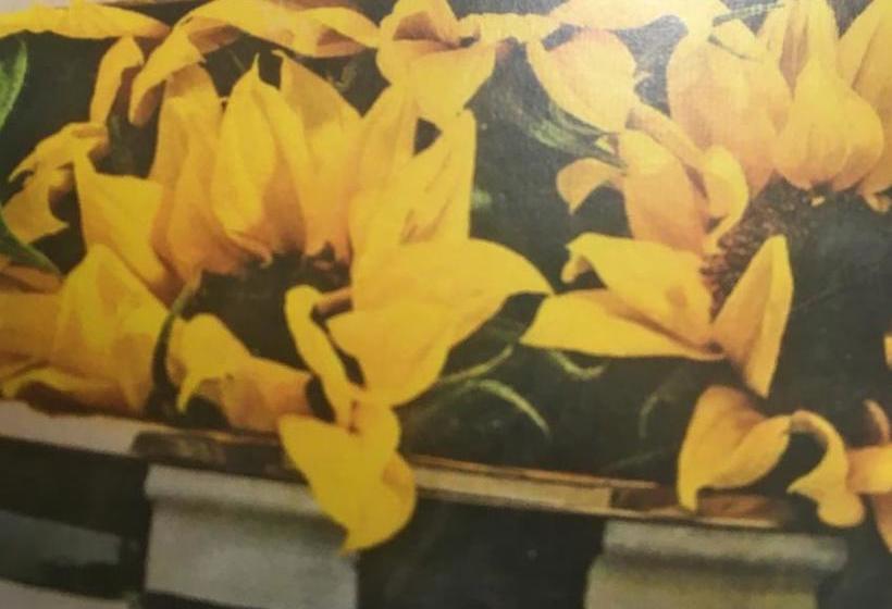 A Cayuga Lakefront Inn   Hotel Alt, Ithaca New York