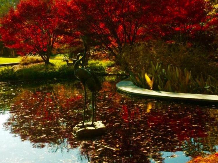 A Cayuga Lakefront Inn   Hotel Alt, Ithaca New York