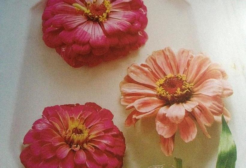 A Cayuga Lakefront Inn   Hotel Alt, Ithaca New York