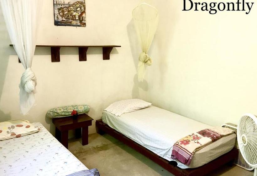 הוסטל Haiti Communitere