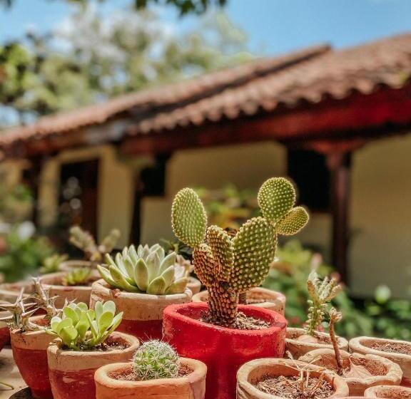 فندق صغير Viavia Leon