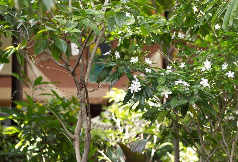 فندق صغير Viavia Leon