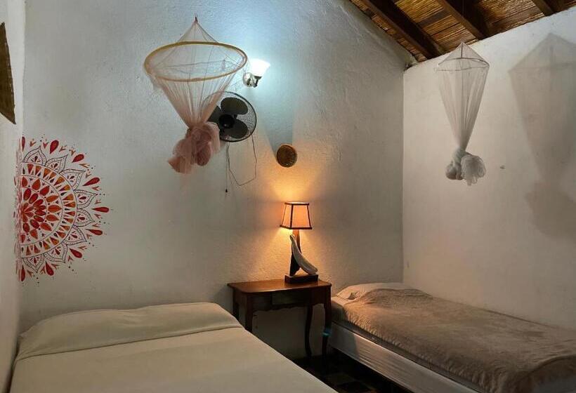 فندق صغير Viavia Leon