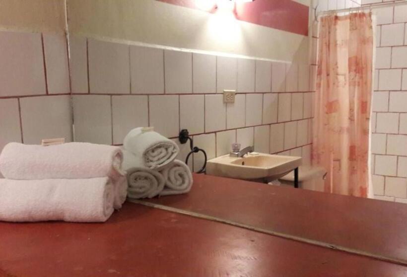 فندق صغير Viavia Leon