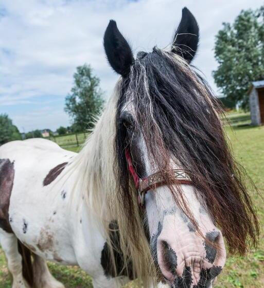 צימר De Perenboom