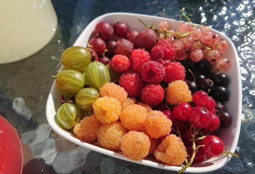 ベッドアンドブレックファースト Gården Mellan Slotten