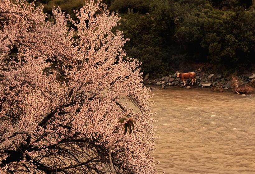 ベッドアンドブレックファースト Haiku Cabañas Panorámicas