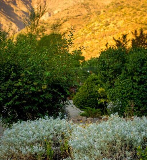 ベッドアンドブレックファースト Haiku Cabañas Panorámicas