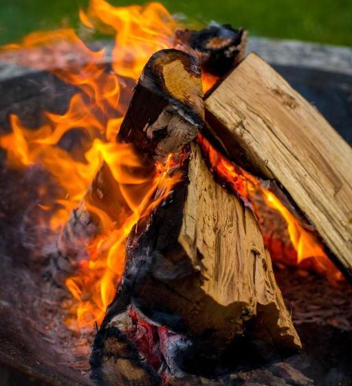 ベッドアンドブレックファースト Haiku Cabañas Panorámicas