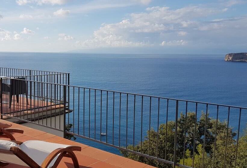 Bed and Breakfast Villa Crawford