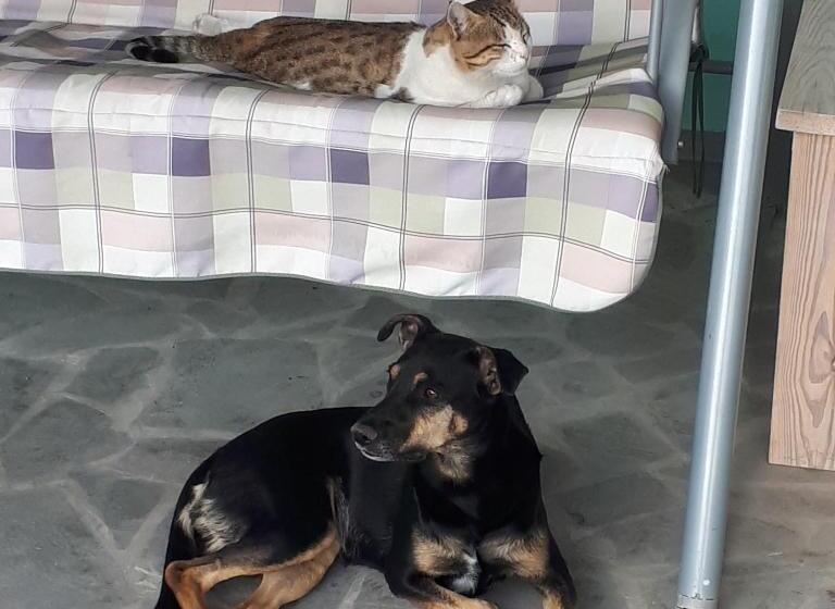 Bed & Breakfast 3 Gs