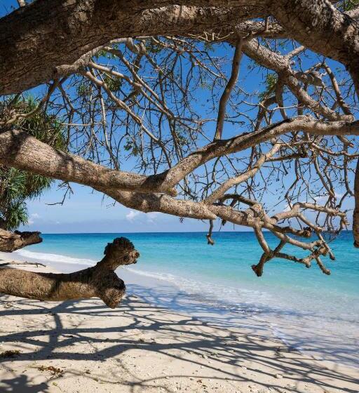 호텔 Casa Nemo Beach Resort & Spa