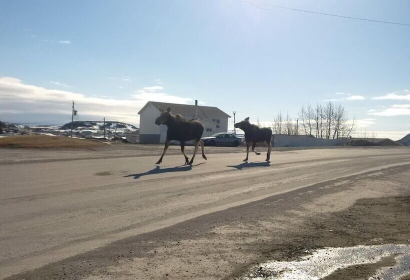 Grenfell Heritage Hotel & Suites