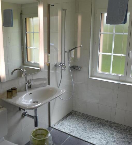 בית מלון כפרי Hirschen Eggiwil