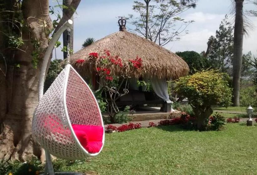 ホテル The La Oma Cafe &