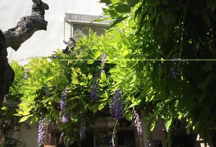 בית מלון כפרי Le Méditérranée