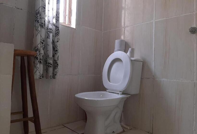 酒店 Palácio Do Sol Hostel Pousada