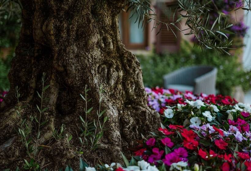 בית מלון כפרי Relais Villa Carola