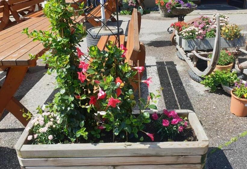 호텔 Schönauer Hof