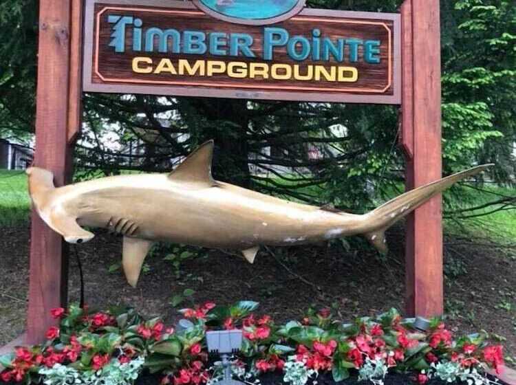 בית מלון כפרי Timber Pointe Resort