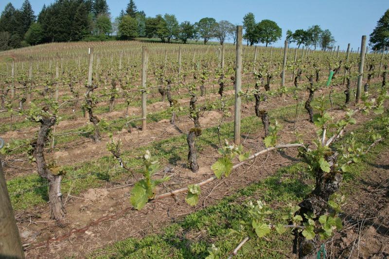 La Bastide Bed And Breakfast