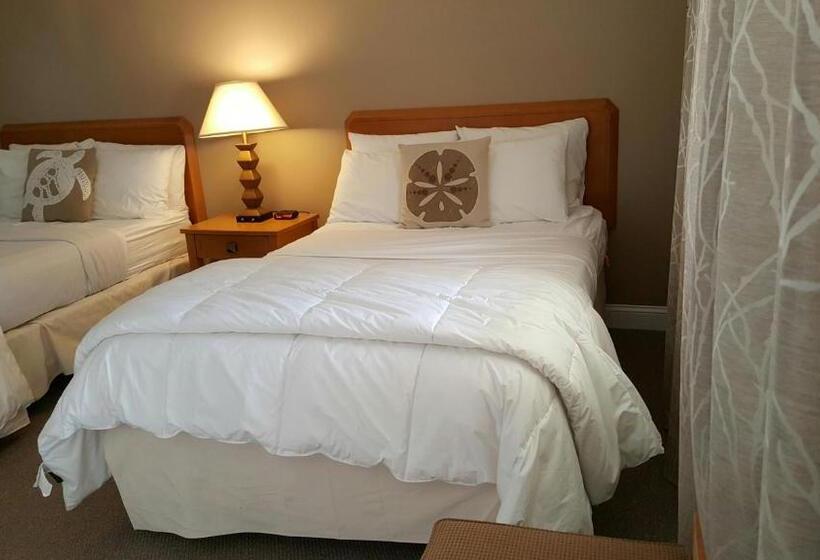 Мотель Starlight Lodge Cape Cod