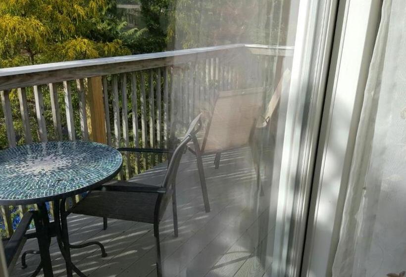 Мотель Starlight Lodge Cape Cod