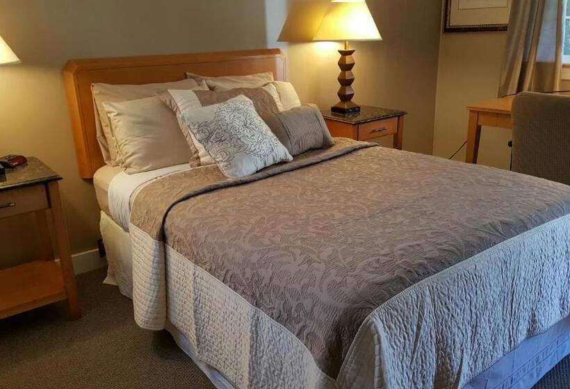 Мотель Starlight Lodge Cape Cod